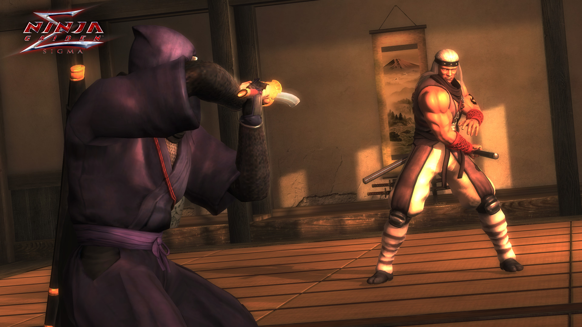 忍者龙剑传（Ninja Gaiden）CODEX中文版-游戏小镇